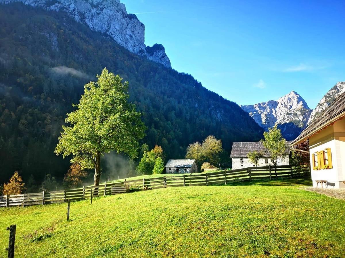 Mala Hisa Daire Solčava Dış mekan fotoğraf