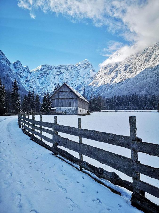 Mala Hisa Daire Solčava Dış mekan fotoğraf