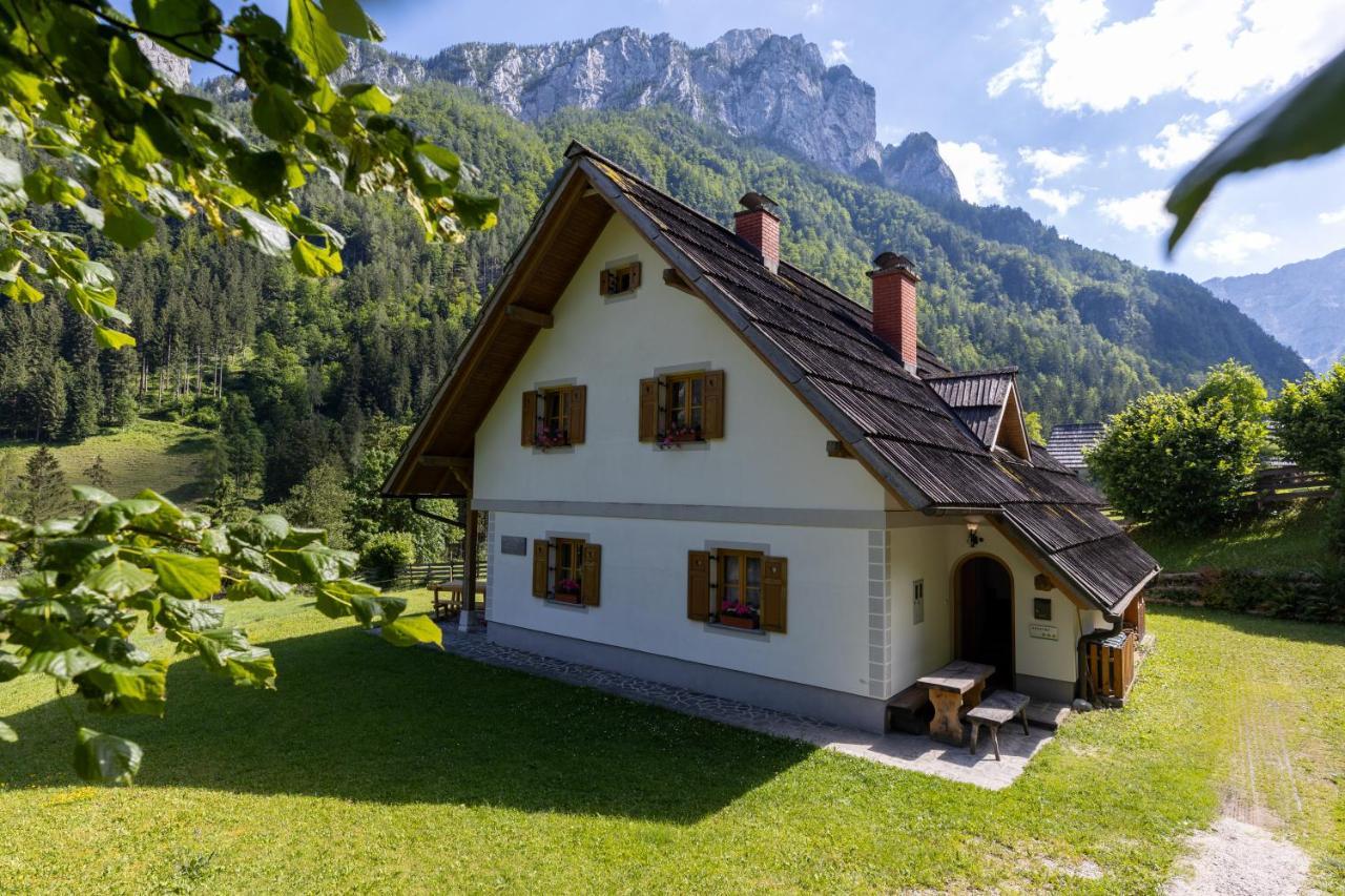 Mala Hisa Daire Solčava Dış mekan fotoğraf
